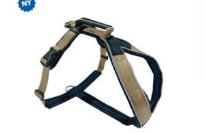 Justerbar hundsele för bekväma promenader – Tassnorden