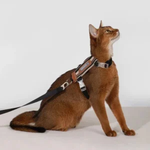 18_e87926d4-e7cc-48da-81af-4b33b0260fdf