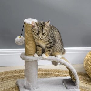 208333816-367360636-11450-6-xtra