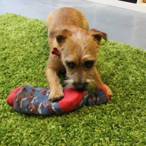 IMG_3181-e1446569079369